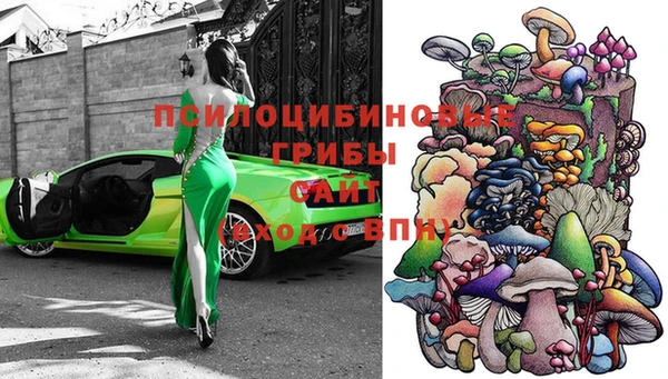 ECSTASY Алексеевка
