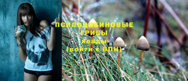 крисы Алзамай